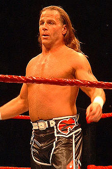 HBK Y WWE???